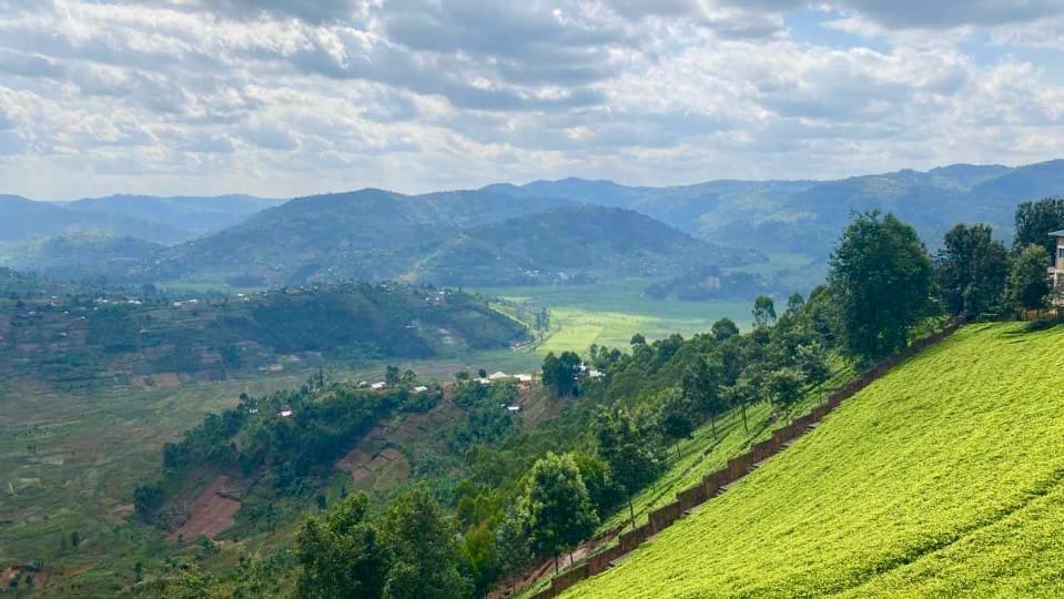 Grüne Hügel und Täler in Ruanda unter bewölktem Himmel